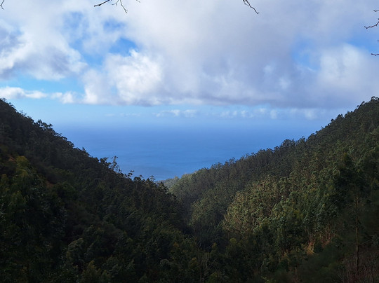 Anda, Walking With Emanuel-沙尔必去景点