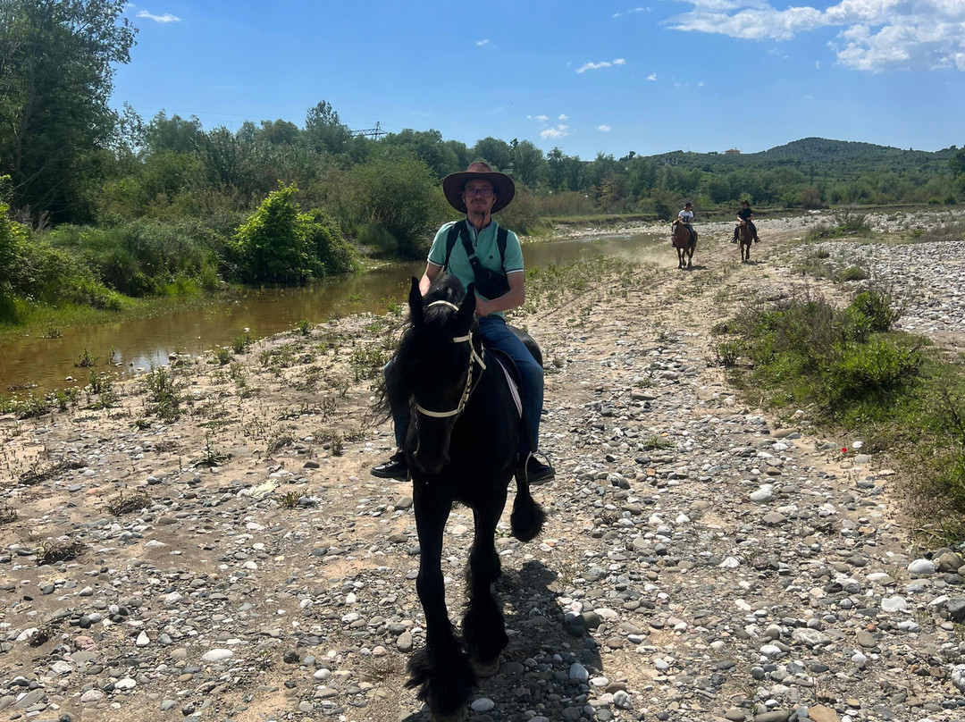 Horse Farm Santo