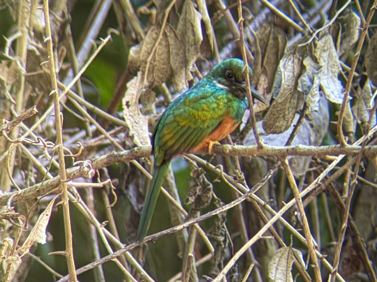 0S3 Private Tours-哈科必去景点