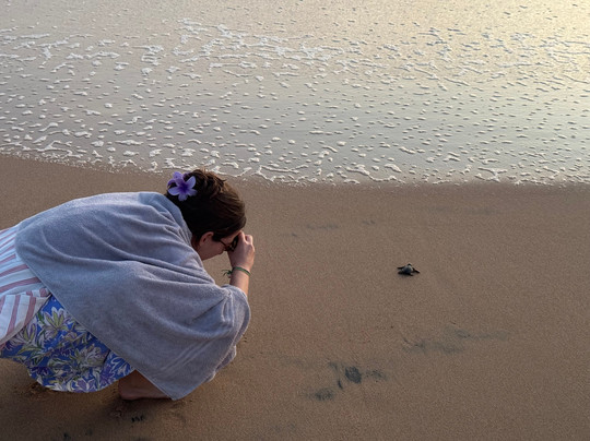 Sea Turtle Farm Galle Mahamodara-加勒必去景点