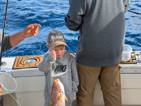 Fish Riviera Maya-阿范特拉斯港必去景点
