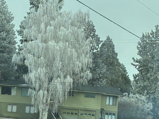 La Quinta Inn by Wyndham Bend主图