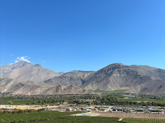 Elki Magic-Vicuna必去景点