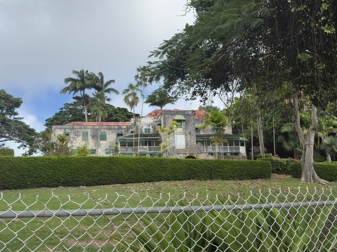 Island Safari Barbados-Saint Michael Parish必去景点