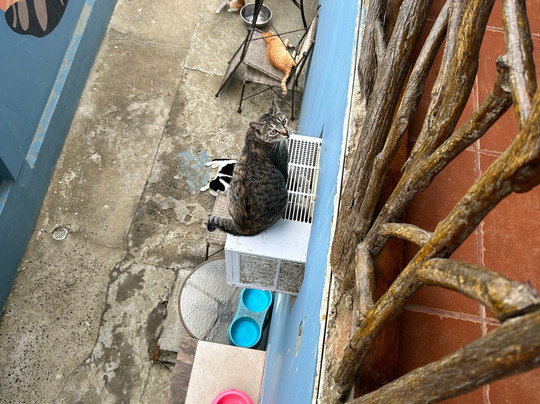 Donkey Den Guesthouse主图