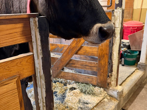 Billings Farm & Museum-伍德斯托克必去景点
