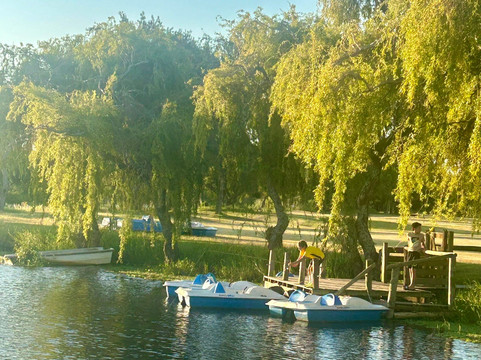 科洛尼亚喜来登高尔夫水疗度假村主图