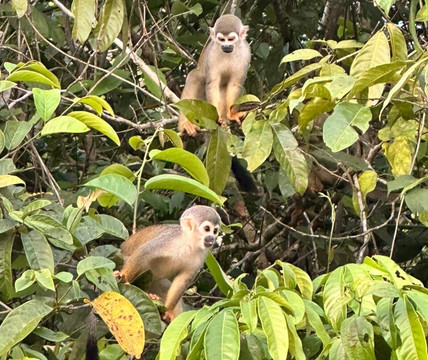 Rio Tambococha-Coca必去景点