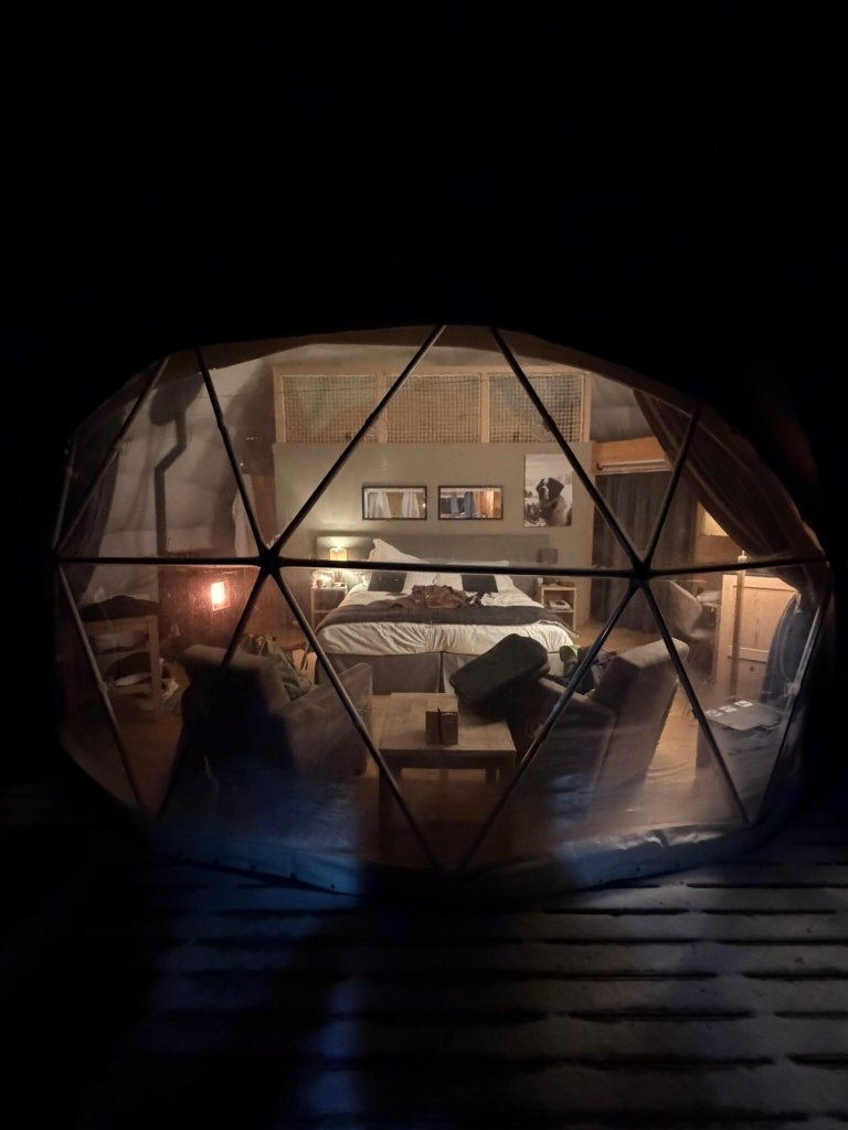 怀特波特酒店-官方