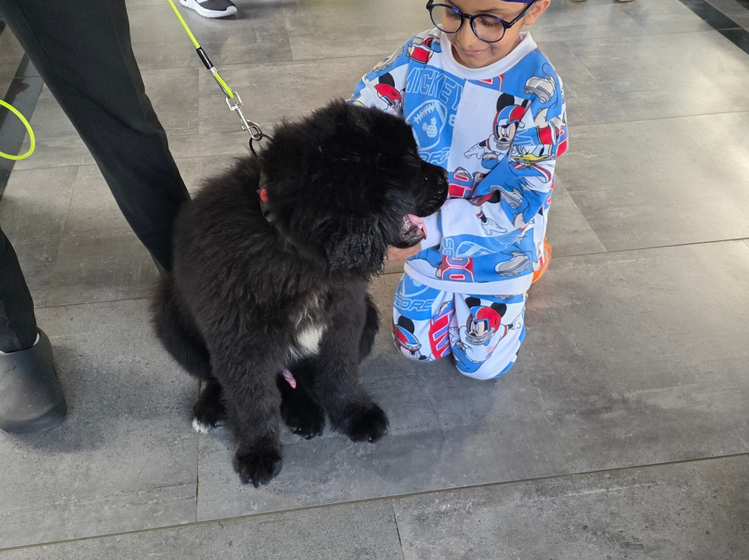 GReaT Trails Wayanad By GRT Hotels主图