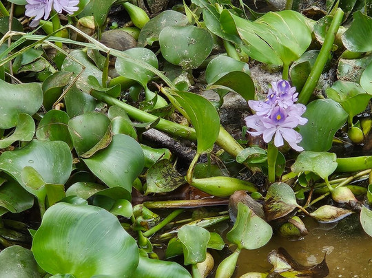 Empirical Tour and Travel Ltd-吉塞尼必去景点