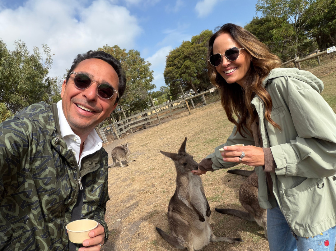 Maru Koala and Animal Park-Grantville必去景点