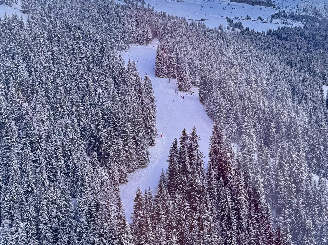 ESF Flaine-Flaine必去景点