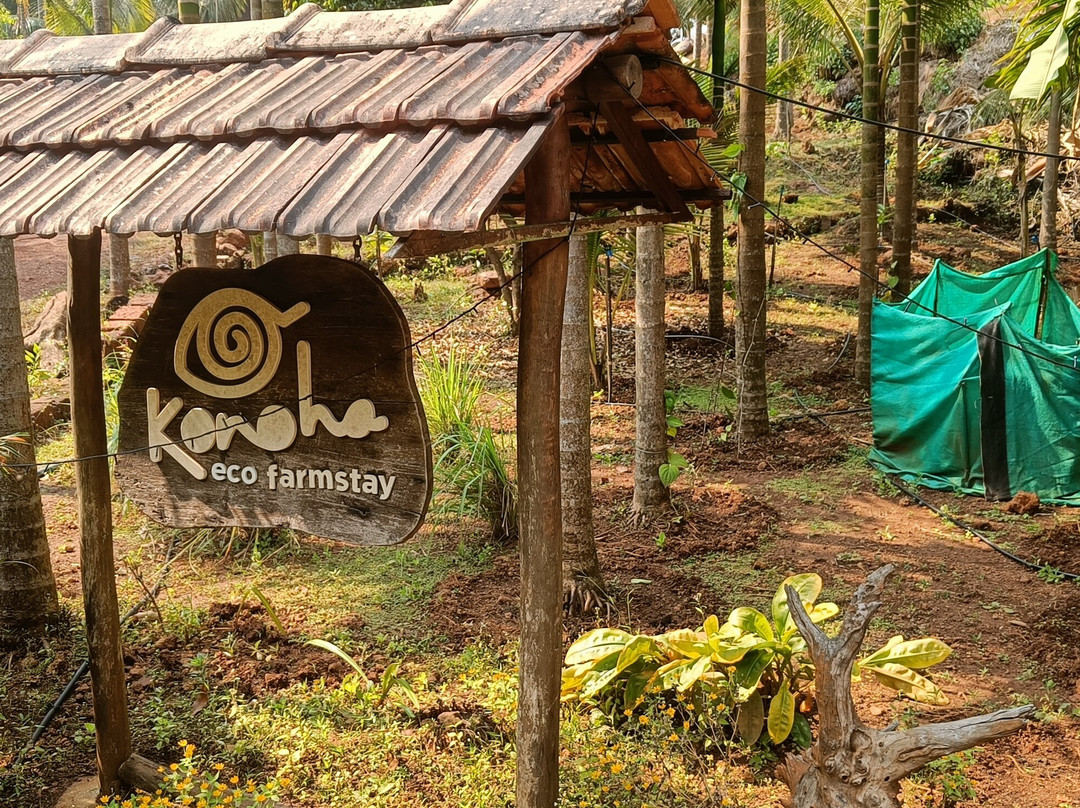 Konoha Eco Farmstay-Dapoli必去景点