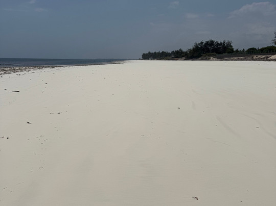 Silver Palm Spa And Resort主图