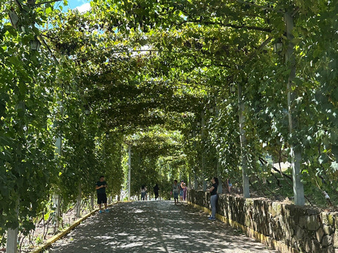 Praca Regional da Uva-Otavio Rocha必去景点