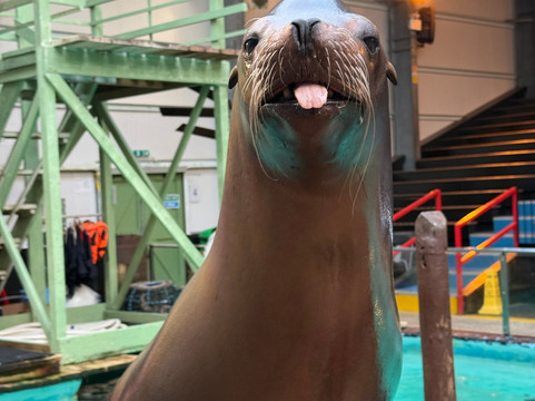 Knowsley Safari-Prescot必去景点