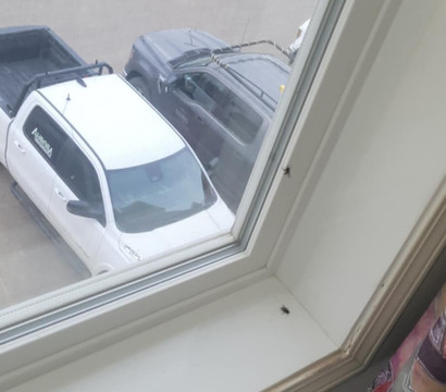 德雷顿谷福克斯伍德套房酒店主图