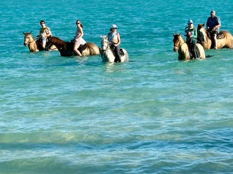 Provo Ponies-Long Bay Hills必去景点