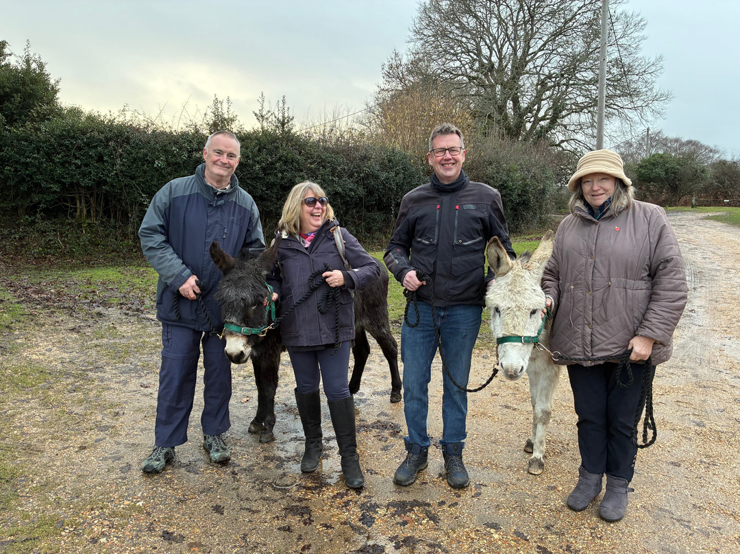 Brockenhurst Donkey Walks-Brockenhurst必去景点