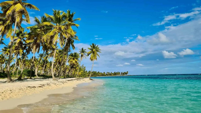 Rimain Tours-普拉亚德尔卡曼必去景点