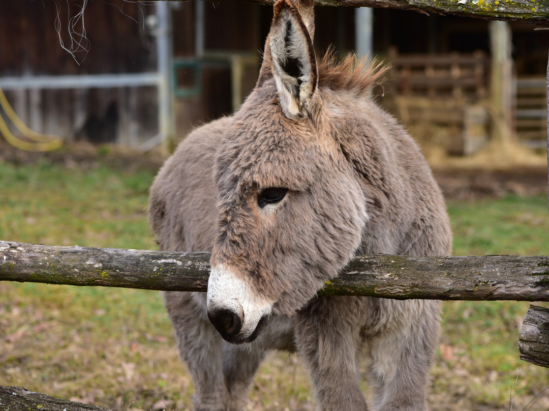 泰努塔瓦尔多米尼农家乐主图
