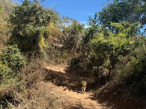Monkey Mountain-利他必去景点