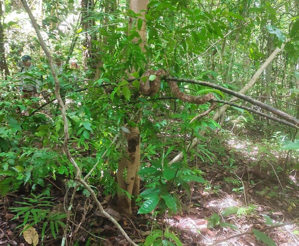 Lokobe Nature Special Reserve-诺西贝必去景点