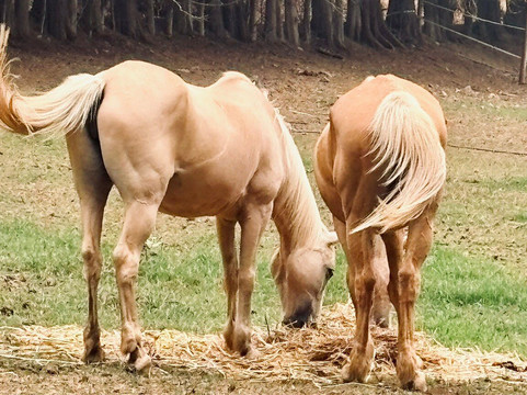 Doolhof Wine Estate-惠灵顿必去景点