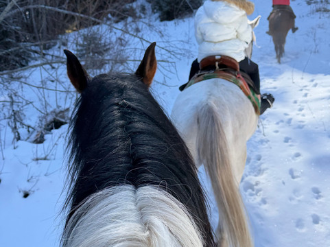 Horse Riding With Butch-波罗维兹必去景点