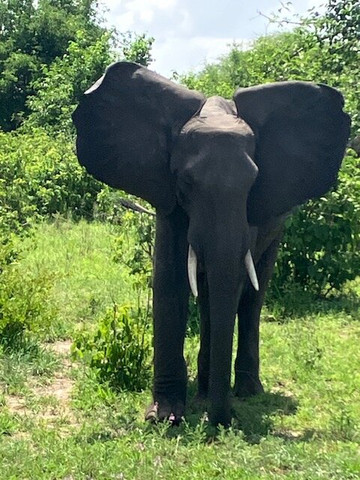 Otto Safari Guide Tanzania-Kibaha必去景点