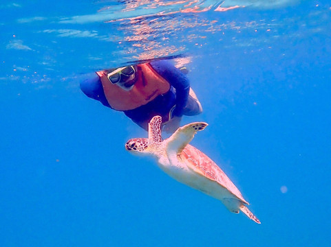 Crystal Clear-维切克岛必去景点