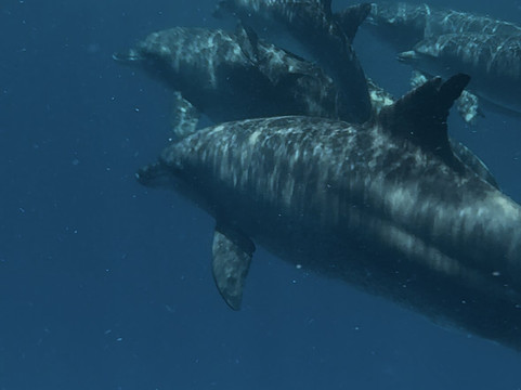 Ayoub Zanzibar Tour-Kigomani必去景点