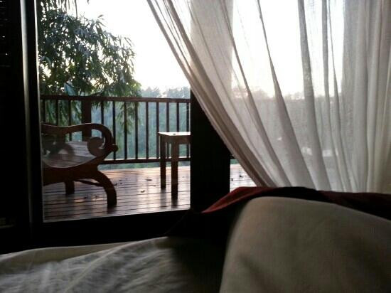 空中花园南迪尼丛林酒店主图