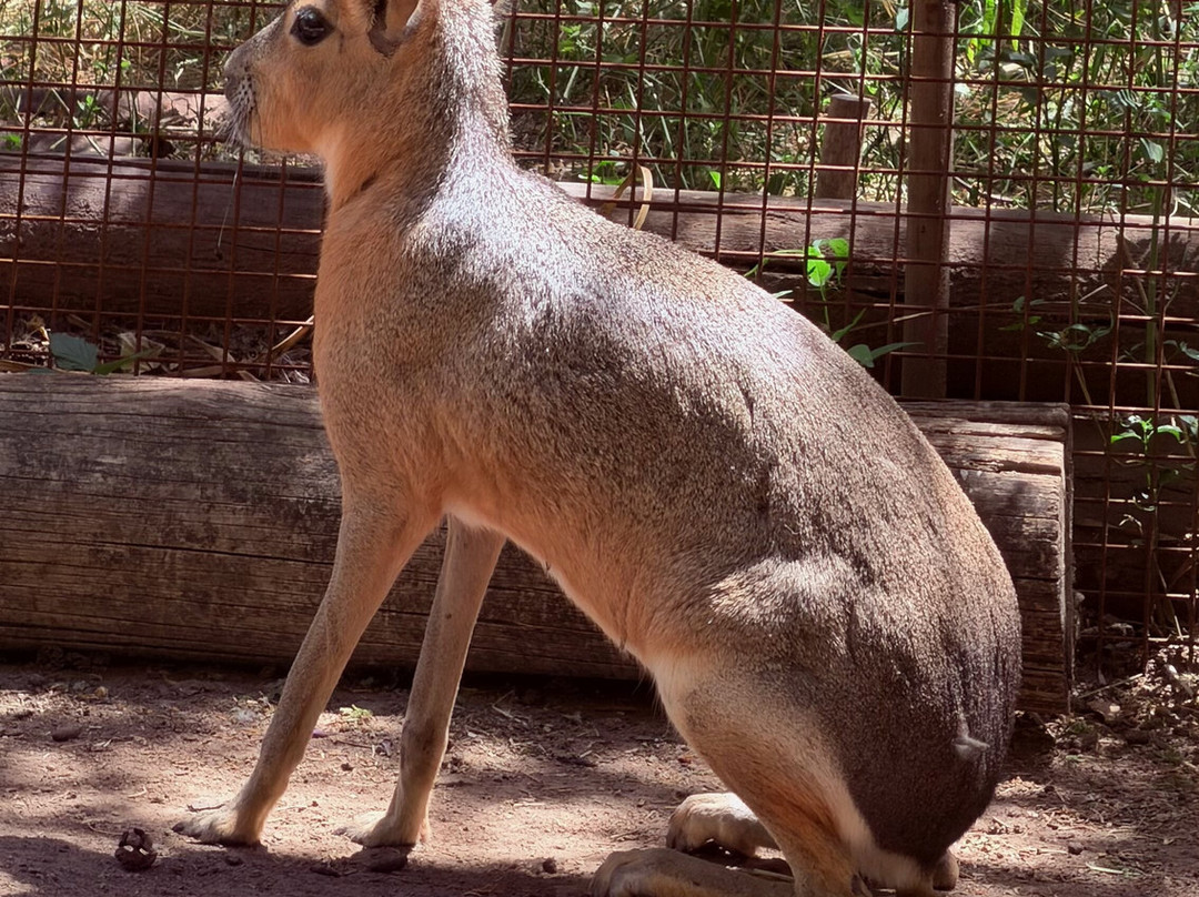 Eco Parque-布宜诺斯艾利斯必去景点