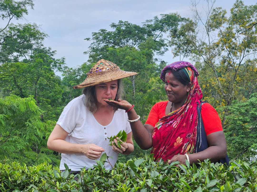 Cholo Bangladesh Tours-达卡市必去景点