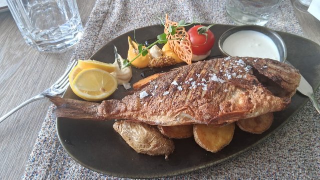 Kotyogó Panzió-官方