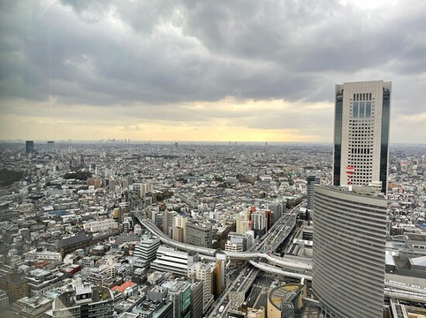 东京柏悦大酒店主图