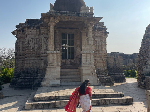 The Padmini Haveli主图