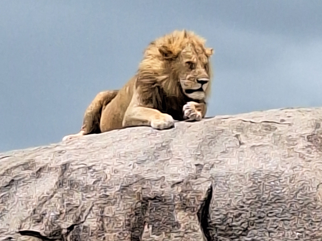 Riverstone African Safaris-Seronera必去景点