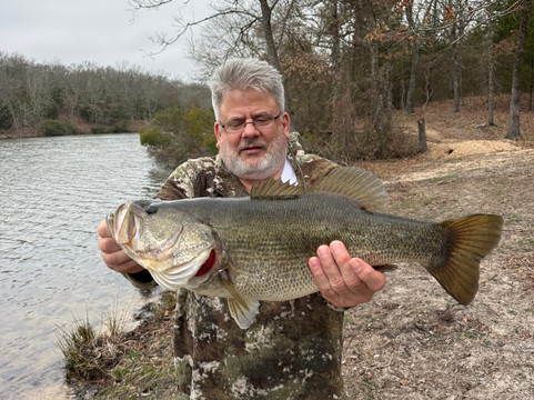 Cedar Cove Ranch主图