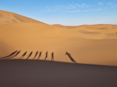 Racines du Désert-迈哈米德必去景点