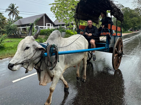 Rideway Lanka Travels-加勒必去景点