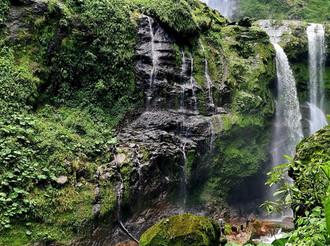 Ecotours Toro Amarillo 360-Bajos del Toro必去景点