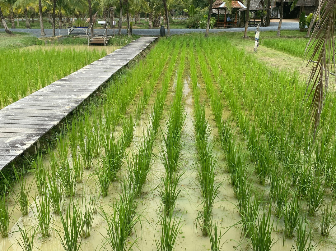 Old Phuket Farm-Thep Krasattri必去景点