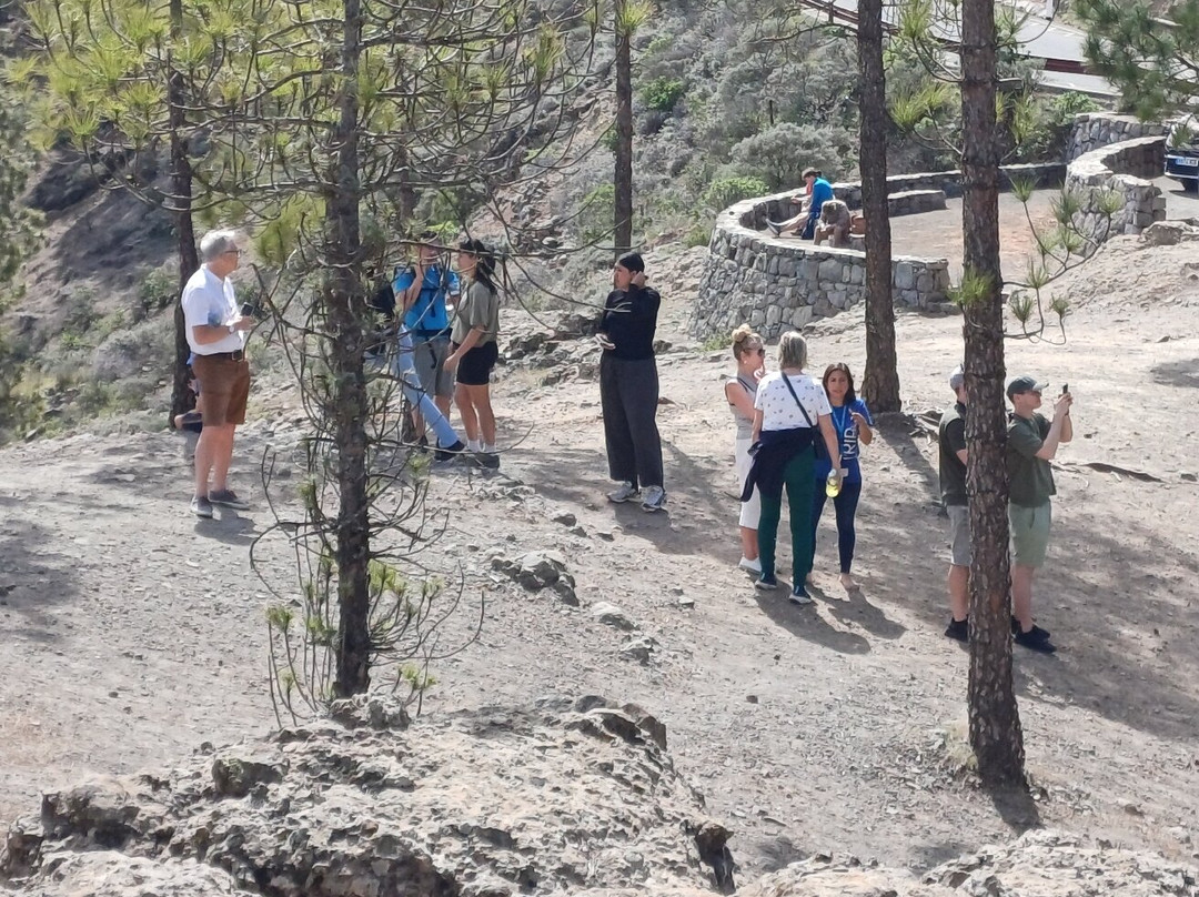 Trip Gran Canaria-大加那利岛拉斯帕尔马斯必去景点