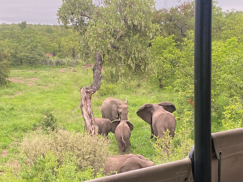 Wild Planet Safari-霍德斯普鲁特必去景点