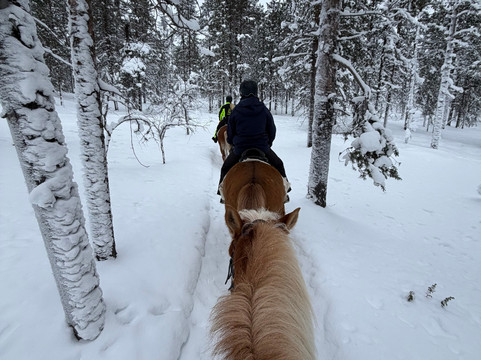 Polaris Point Horses-撒利塞卡必去景点