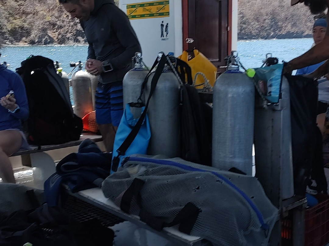 Rocket Frog Divers-Playas del Coco必去景点