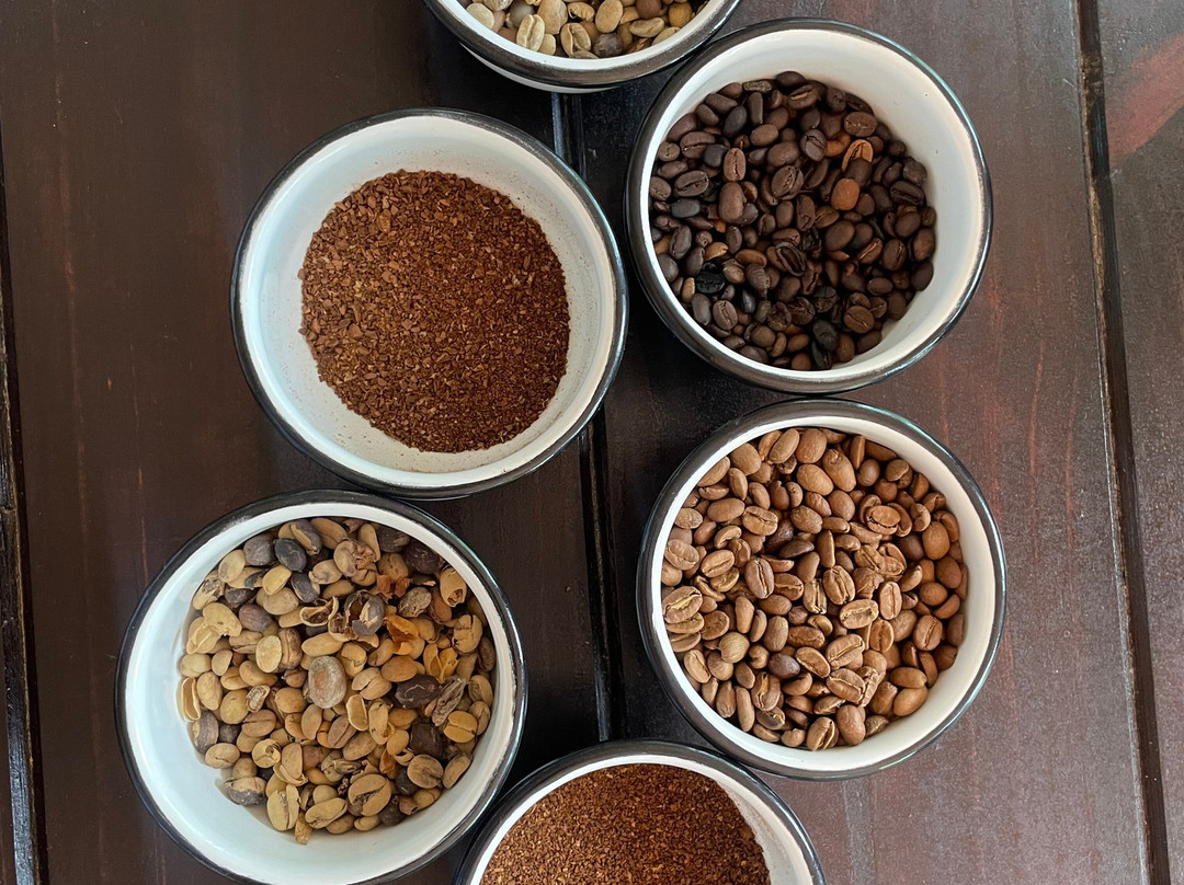 Magic Tours del Café-亚美尼亚必去景点